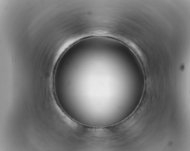 X0000092011432200709131525