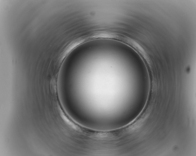 X0000092011433200709131525