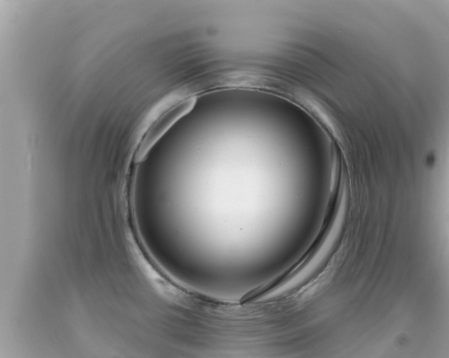 X0000092011434200709131525