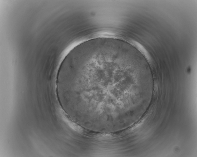 X0000092011435200709131525