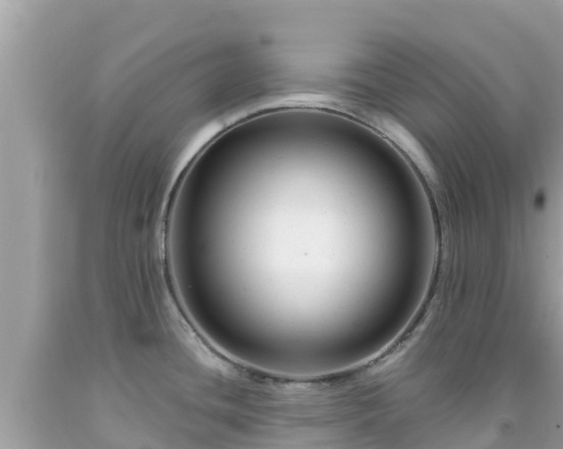X0000092011436200709131525