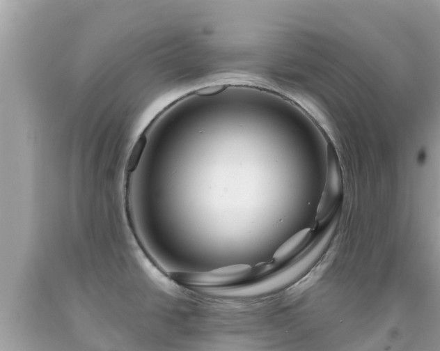X0000092011438200709131525
