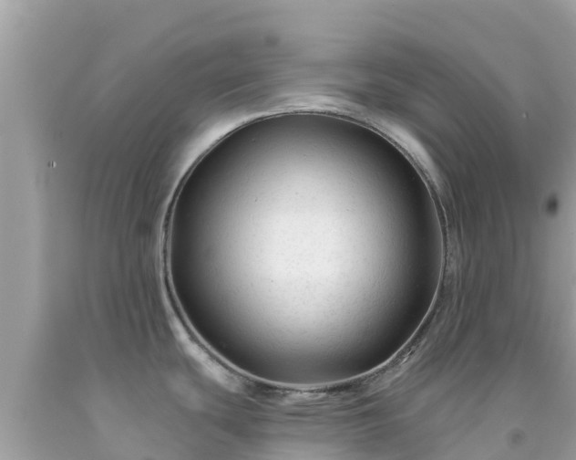 X0000092011439200709131525
