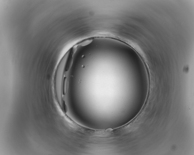 X0000092011440200709131525