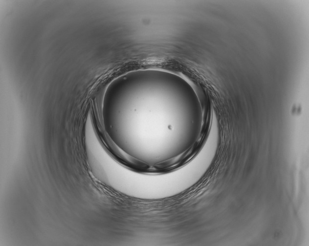 X0000092011441200709131525