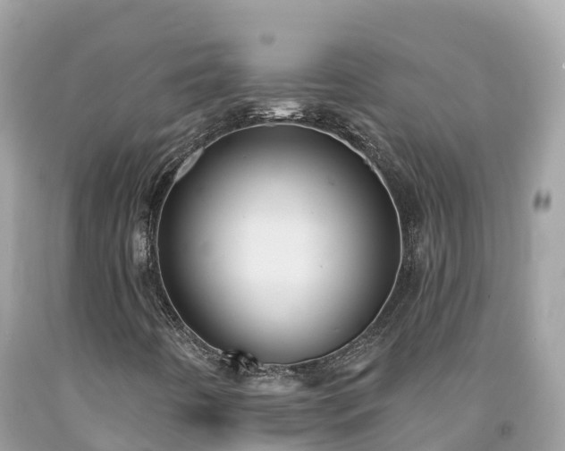 X0000092011442200709131525