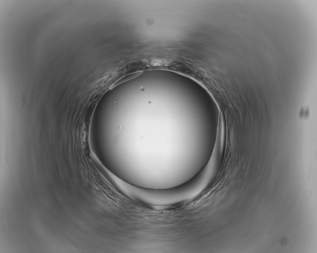 X0000092011443200709131525