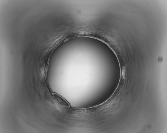 X0000092011444200709131525