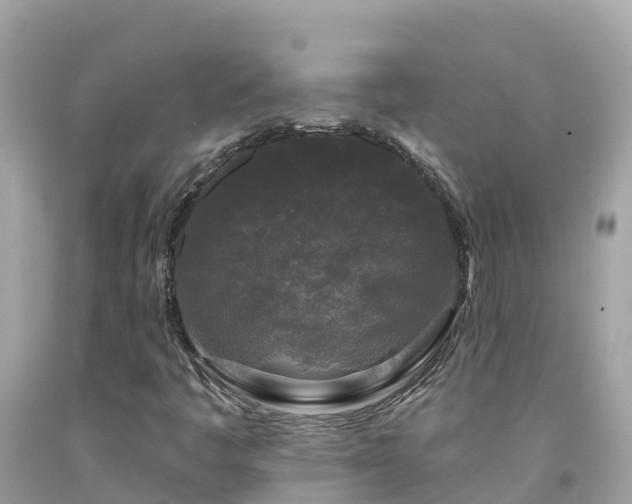 X0000092011445200709131525