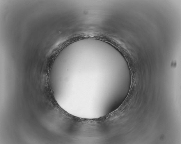 X0000092011446200709131525
