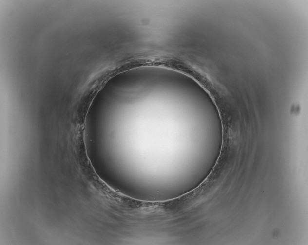 X0000092011447200709131525