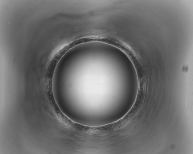 X0000092011448200709131525