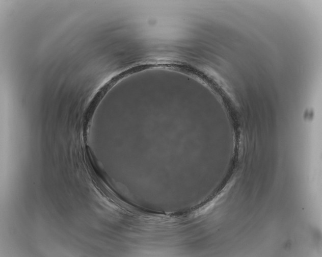 X0000092011449200709131525
