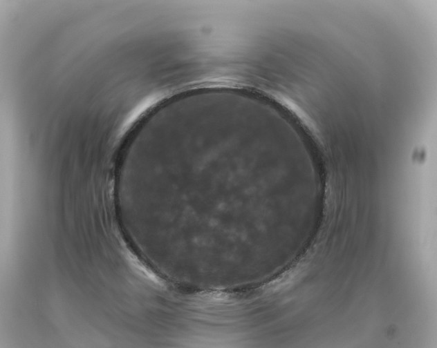 X0000092011450200709131525