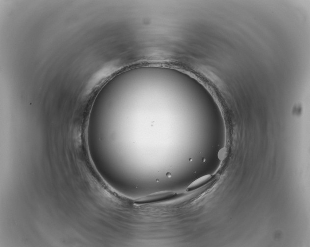 X0000092011451200709131525