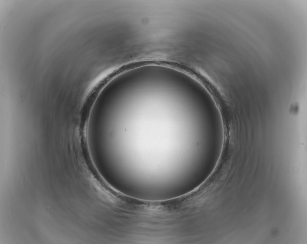 X0000092011452200709131525