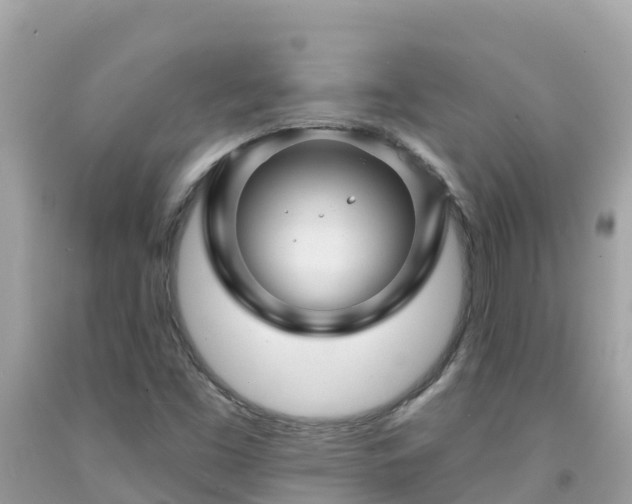 X0000092011453200709131525