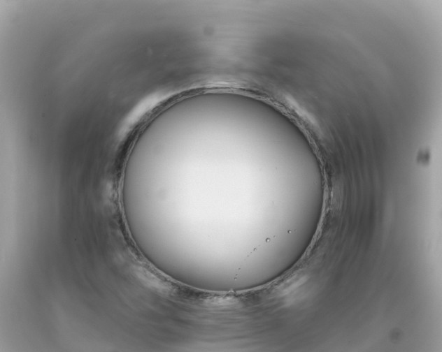 X0000092011454200709131525