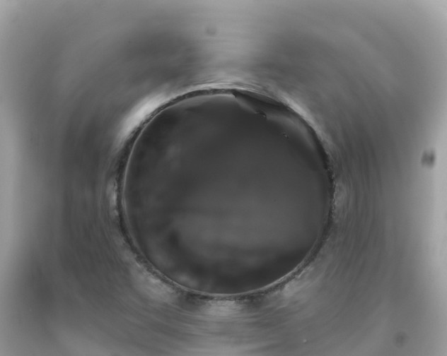 X0000092011455200709131525