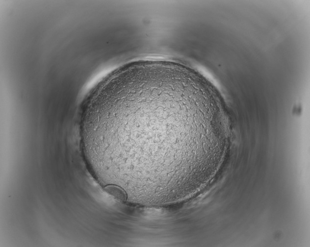 X0000092011456200709131525