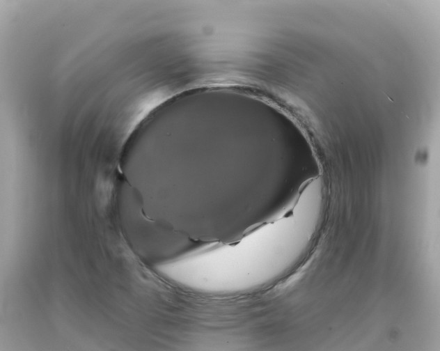 X0000092011457200709131525