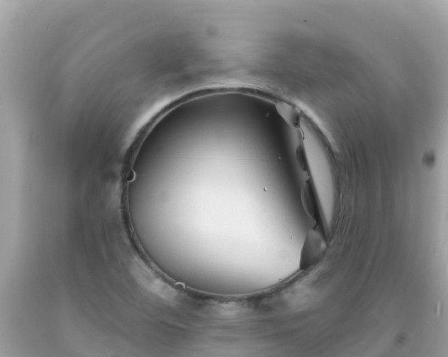 X0000092011460200709131525