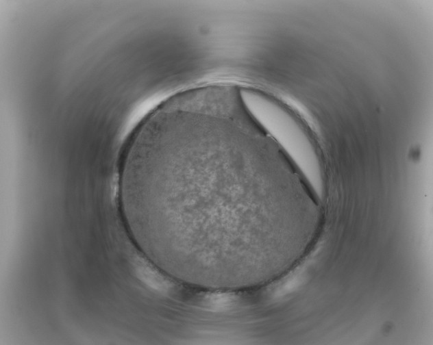 X0000092011461200709131525
