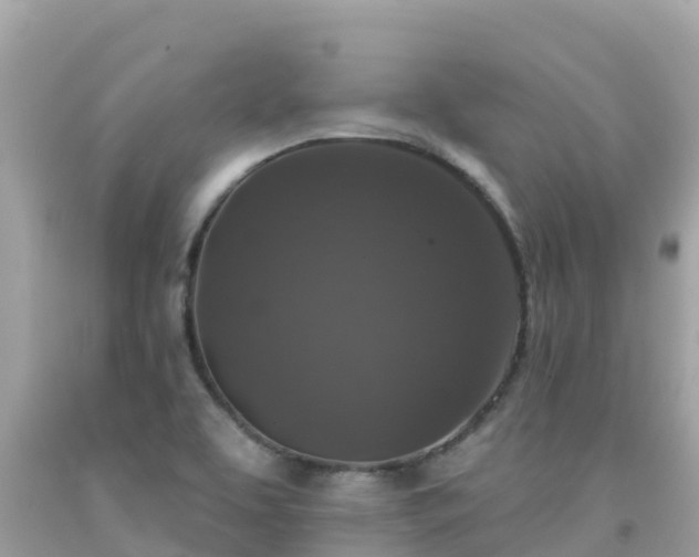 X0000092011463200709131525