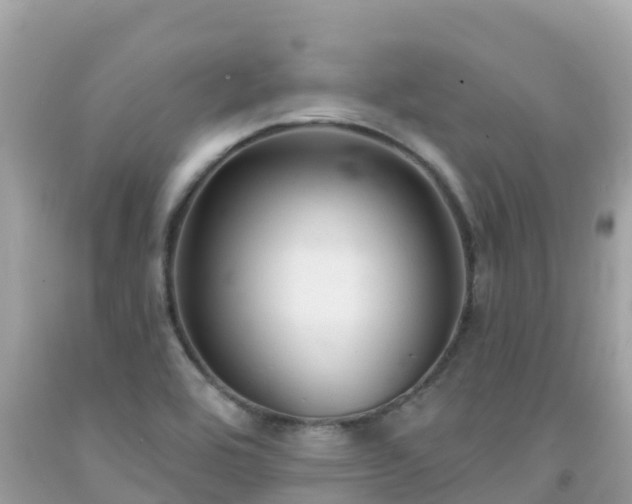 X0000092011464200709131525