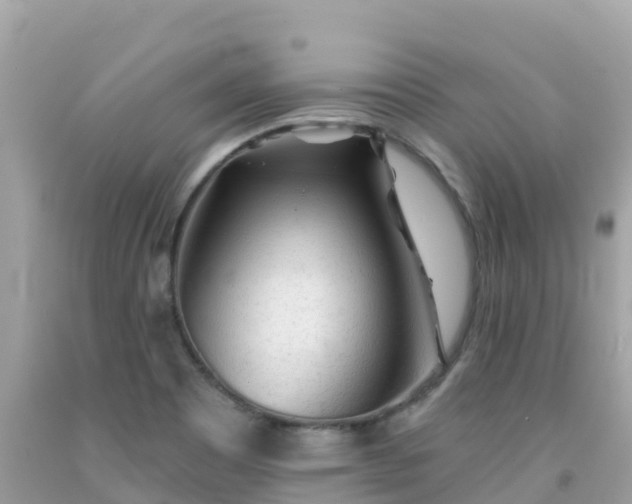 X0000092011465200709131525