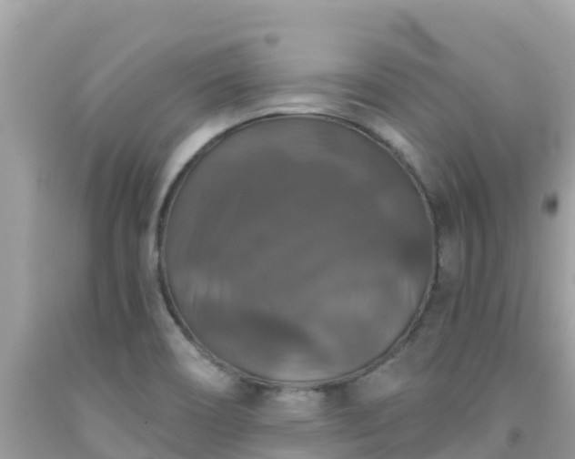 X0000092011466200709131525