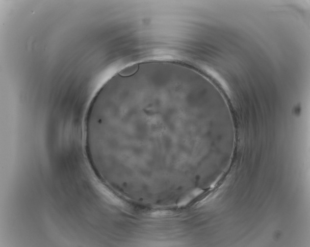 X0000092011467200709131525