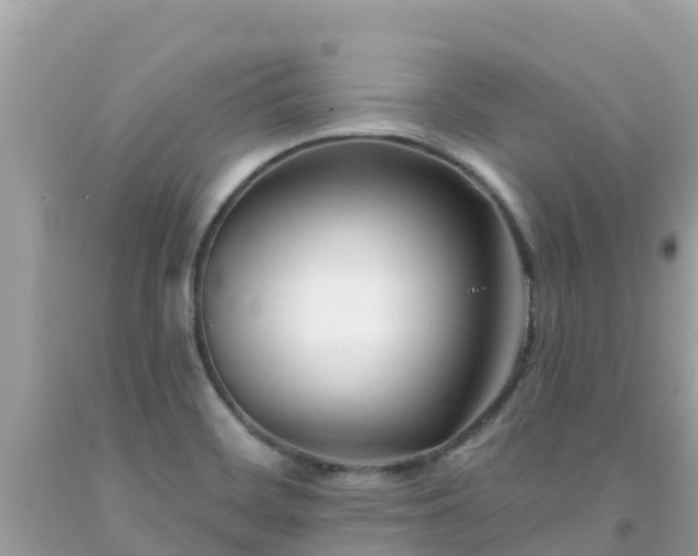 X0000092011468200709131525