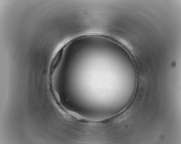 X0000092011469200709131525