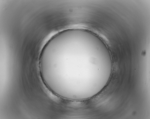 X0000092011470200709131524