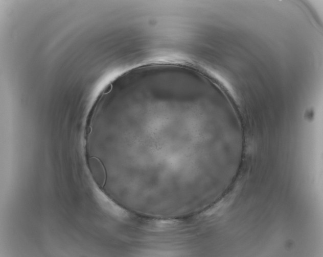 X0000092011471200709131524