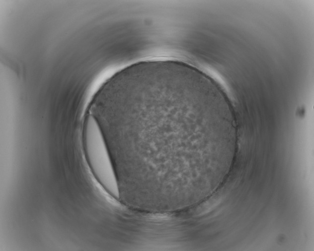 X0000092011472200709131524