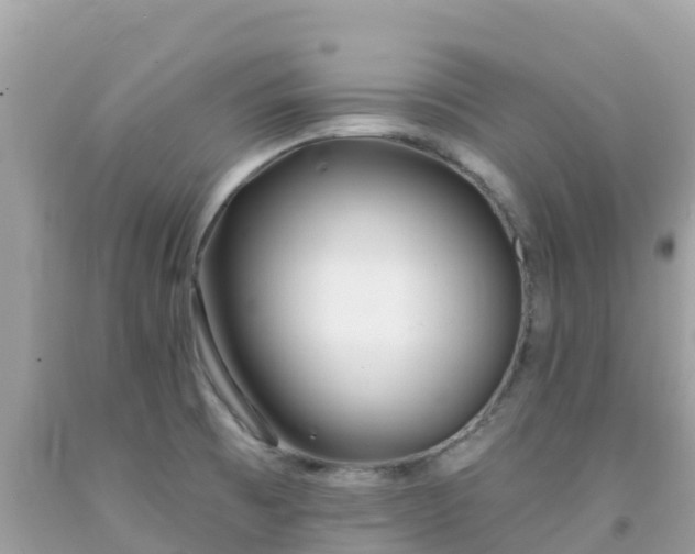 X0000092011473200709131524