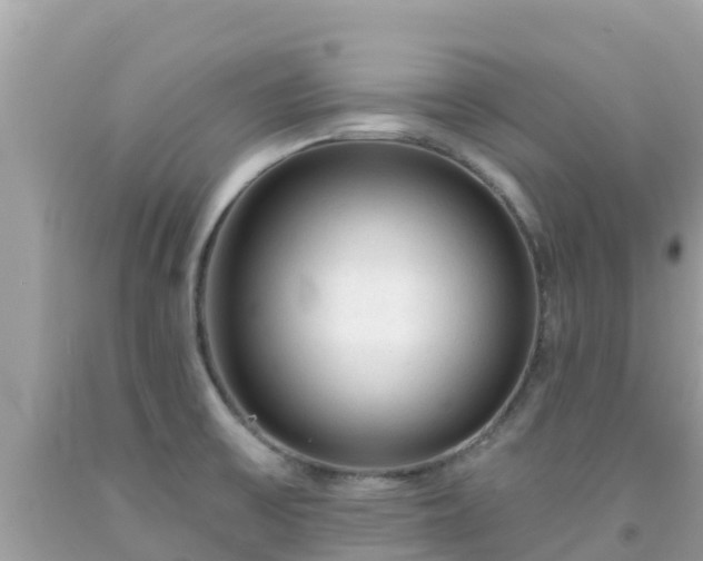 X0000092011475200709131524