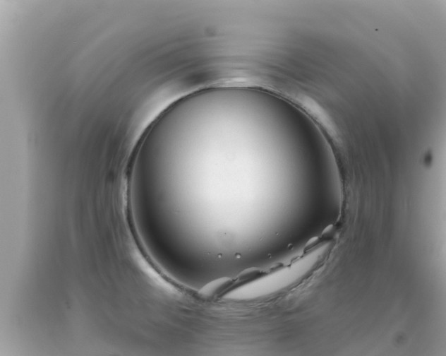 X0000092011476200709131524