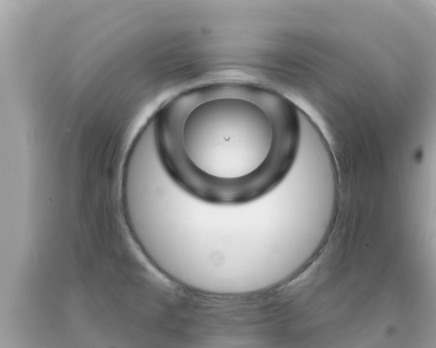 X0000092011477200709131524