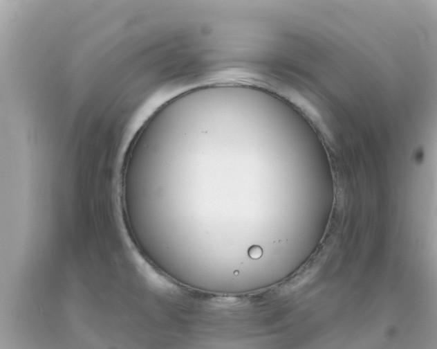 X0000092011478200709131524