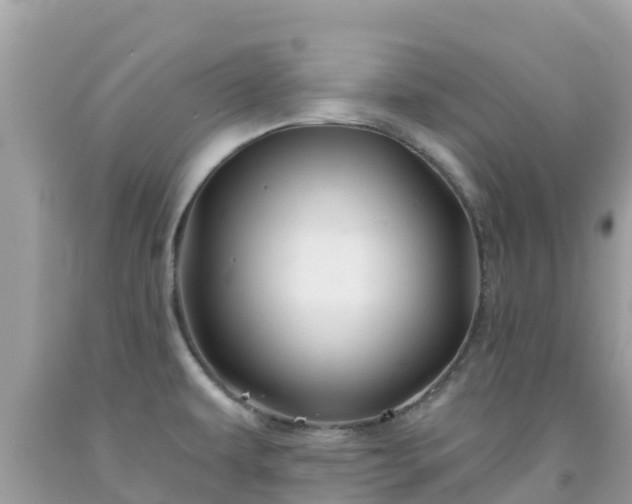 X0000092011479200709131524