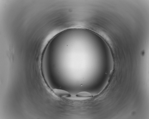X0000092011480200709131524
