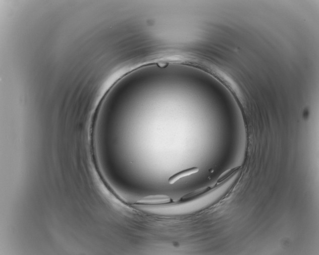 X0000092011483200709131524