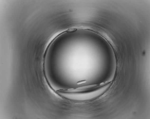 X0000092011484200709131524
