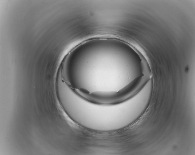 X0000092011485200709131524