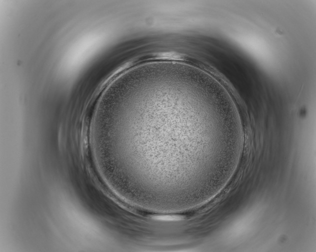 X0000092011487200709131524