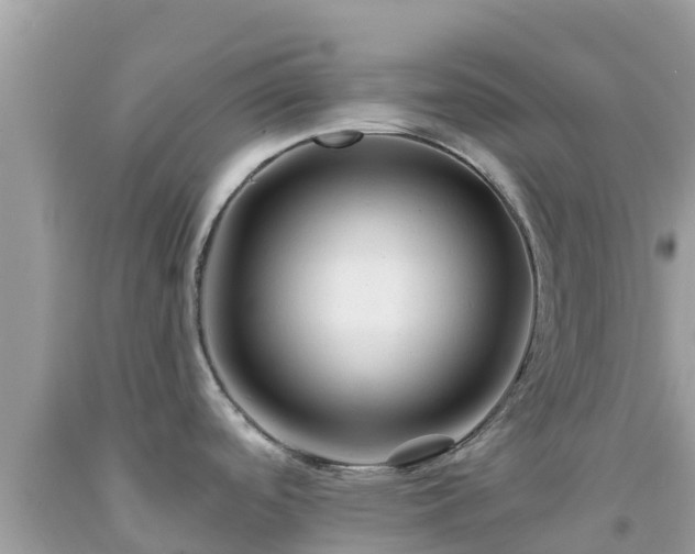 X0000092011488200709131524