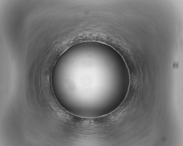 X0000092011489200709131523
